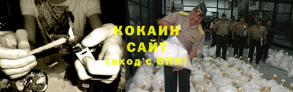 PSILOCYBIN Новокубанск