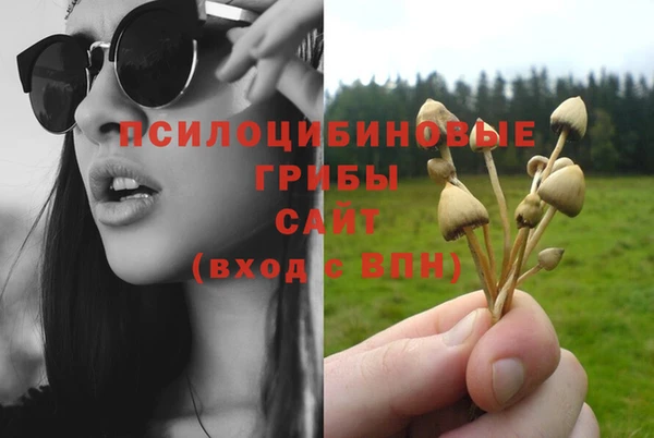 экстази Нязепетровск