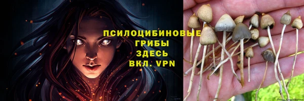 таблы Новозыбков