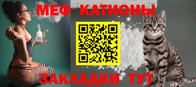 прущие грибы Дубна