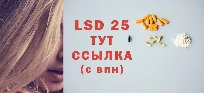 хочу наркоту  Кудрово  LSD-25 экстази кислота 