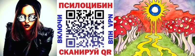 Галлюциногенные грибы MAGIC MUSHROOMS  купить наркотики сайты  Кудрово 