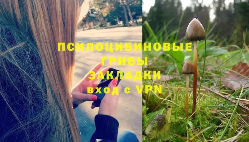 Псилоцибиновые грибы ЛСД  Кудрово 