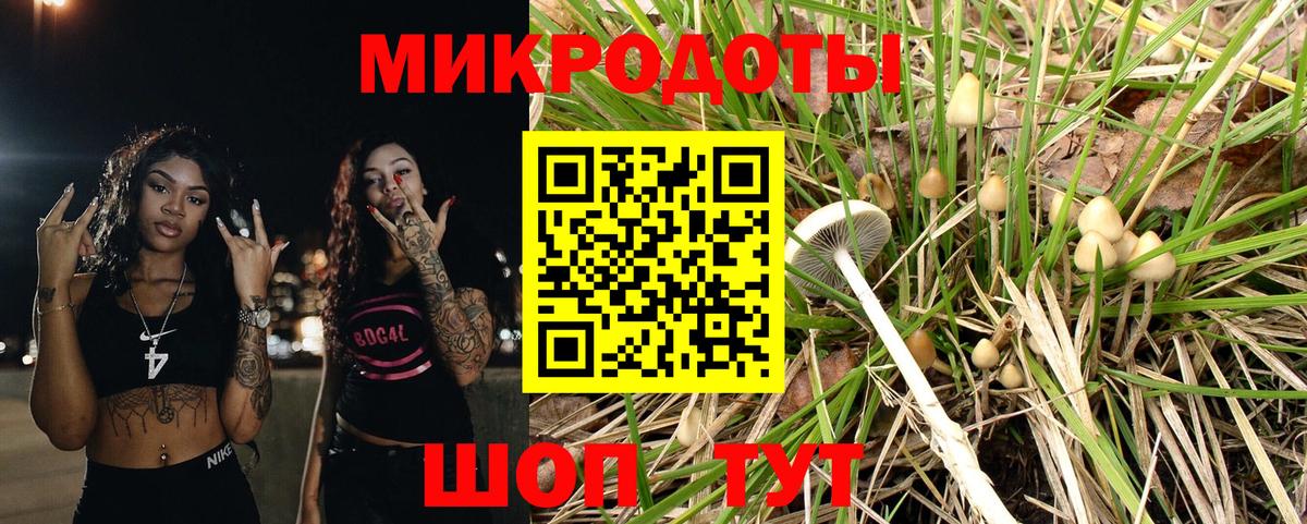Псилоцибиновые грибы MAGIC MUSHROOMS Кудрово