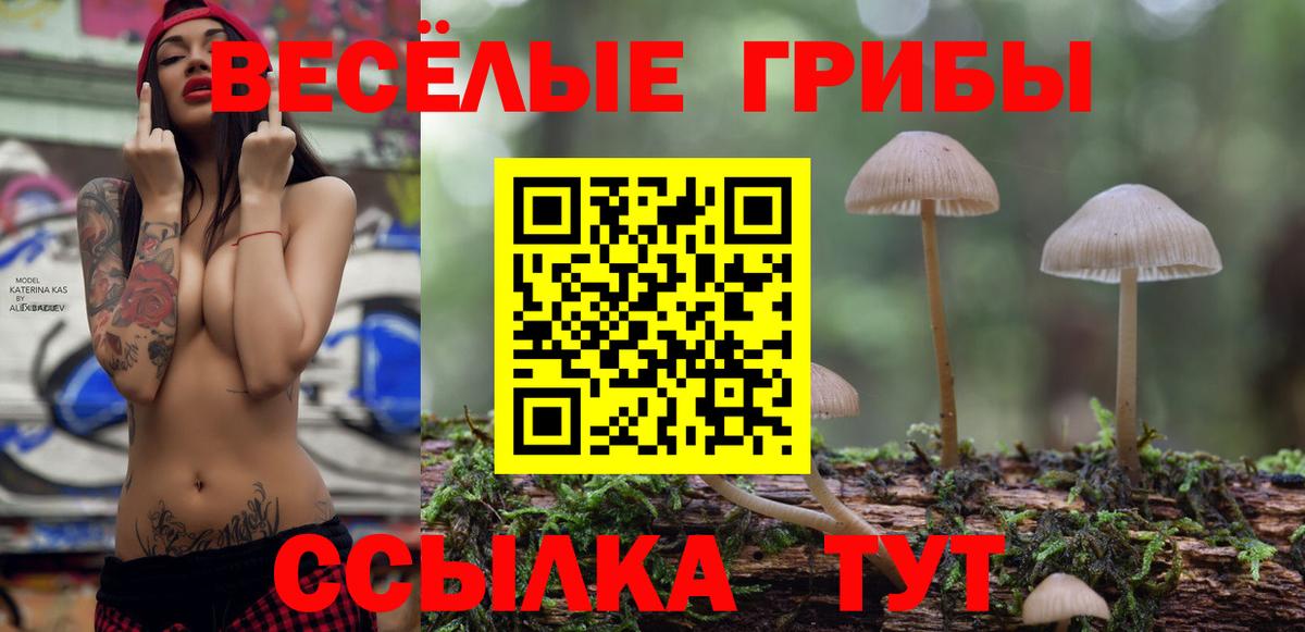 купить наркотики цена  Вход с VPN  Кудрово  Псилоцибиновые грибы Psilocybine cubensis 