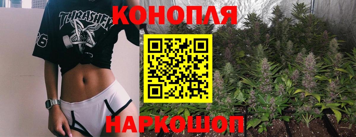 МАРИХУАНА Кудрово